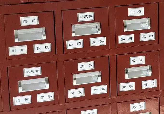 新款中药柜药名标签 中药标签中药柜贴纸文字版镀膜防水不干胶常用药