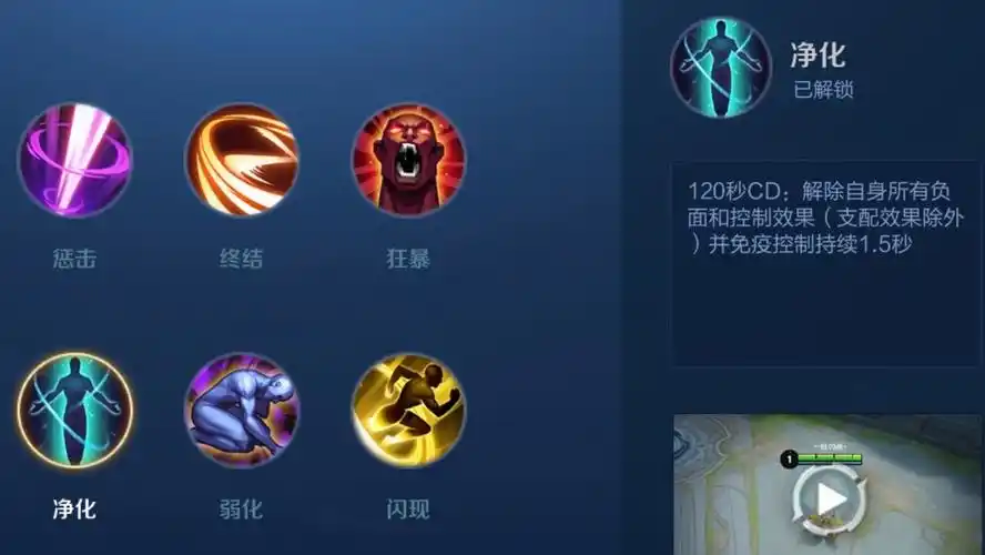 净化召唤师技能