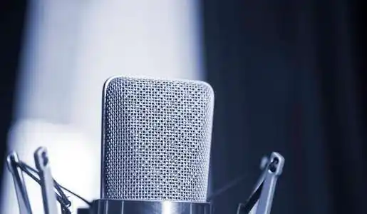 综艺节目配音图片-综艺节目配音素材-综艺节目配音插画-摄图新视界