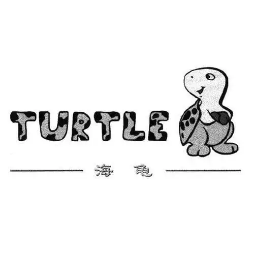 em>海龟 /em>  em>turtle /em>