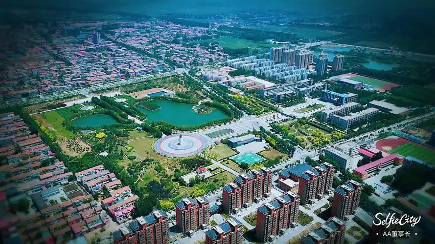 航拍中的大广平,牛牛牛!