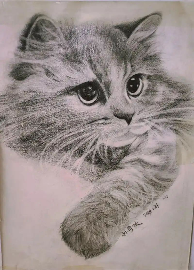 色彩的童话 成武一中初中部画展.色彩的童话 成武一中初中部画 - 抖音