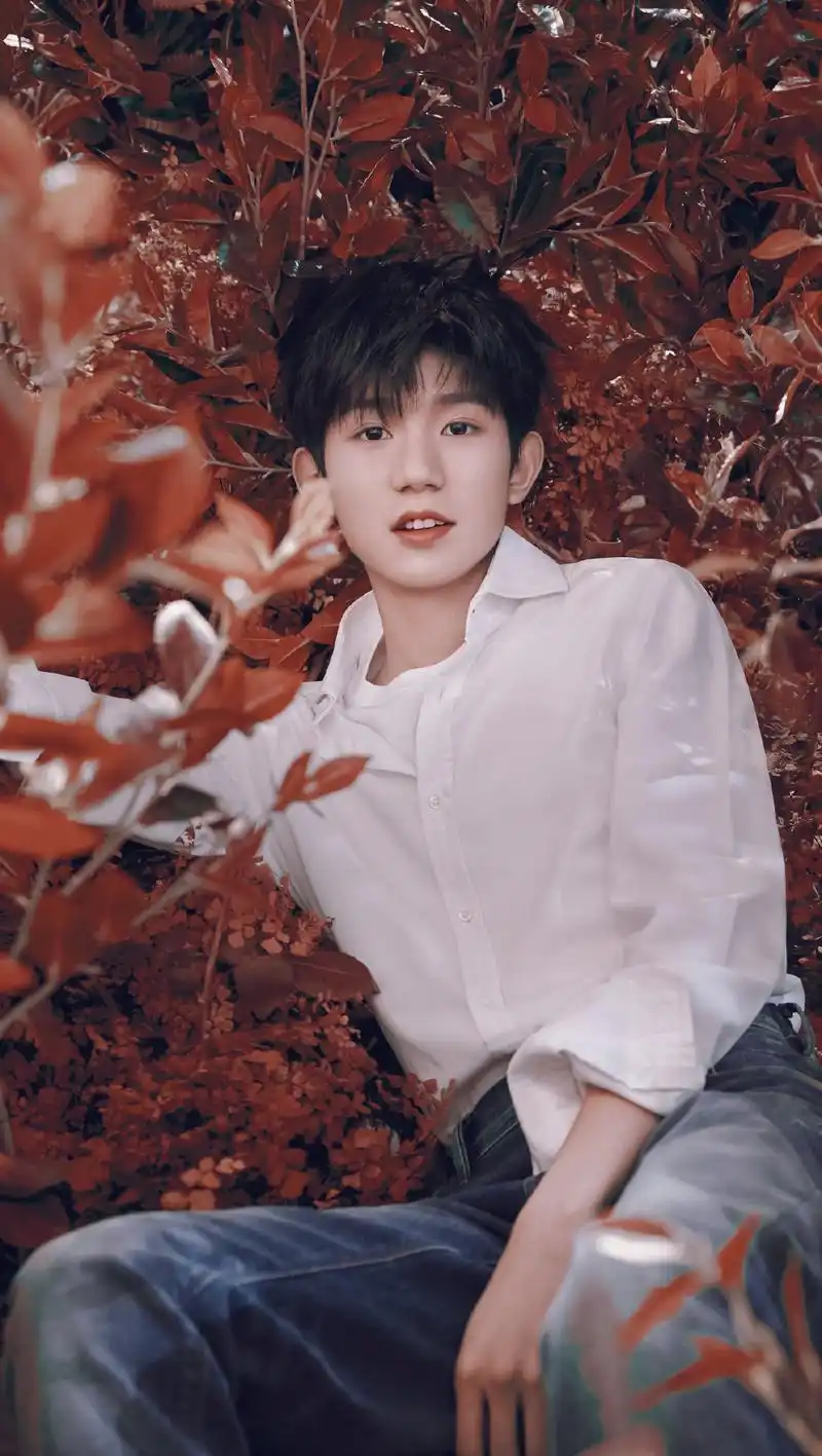 tfboys 新闻王源盛世美颜图片唯美来袭,帅气白衣少年坐落枫林间.