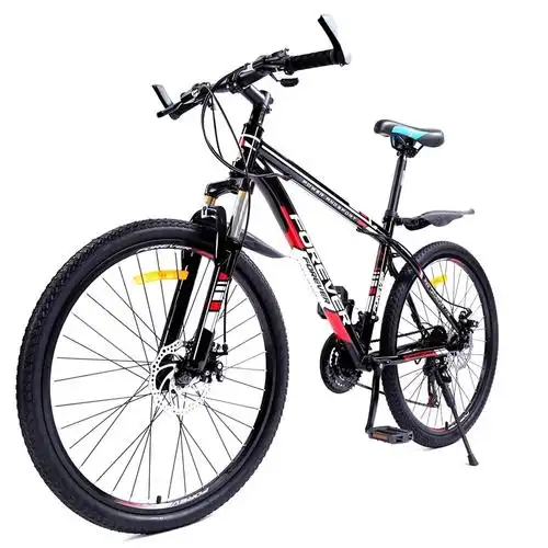 永久牌变速自行车成人单车碟刹越野山地车bicycle山地自行车