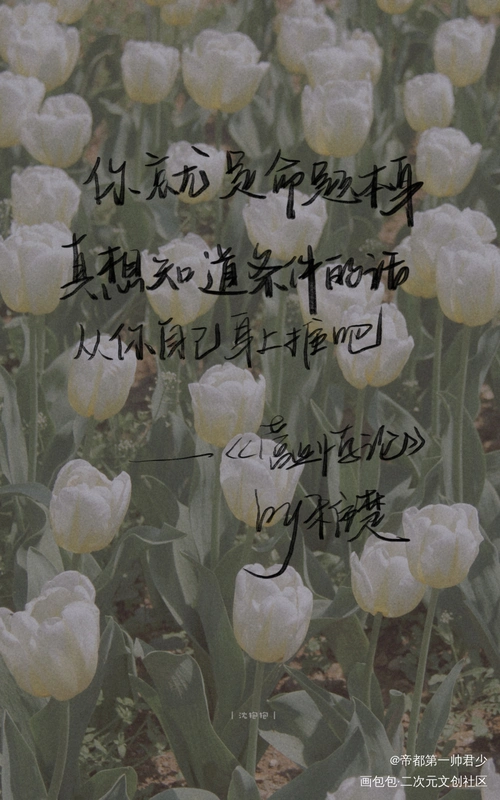 你就是命题本身_稚楚营业悖论板写我要上首推见字如晤字体设计绘画