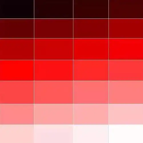 了不起的麦瑟尔夫人成为上世纪五十年代的美国女人