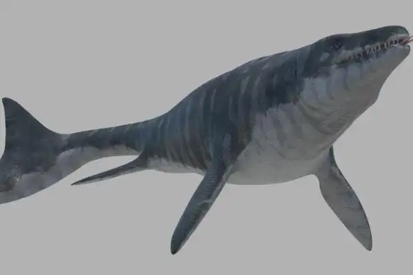 霍夫曼沧龙沧龙科最大的物种最长19米俄罗斯出土