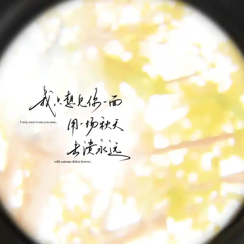 秋天氛围感手写背景图壁纸"我只想见你一面"用秋天击溃永 - 抖音
