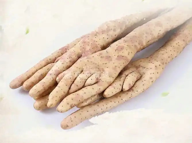 佛手山药新鲜蔬菜铁棍野生垆土铁杆怀山淮山月子3斤5斤装 净重3斤长50