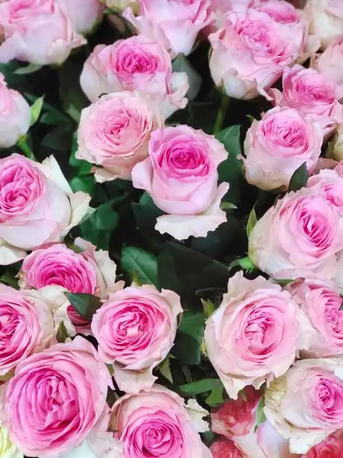 鲜花,新到货哦#好看的花一定要分享给你 - 抖音