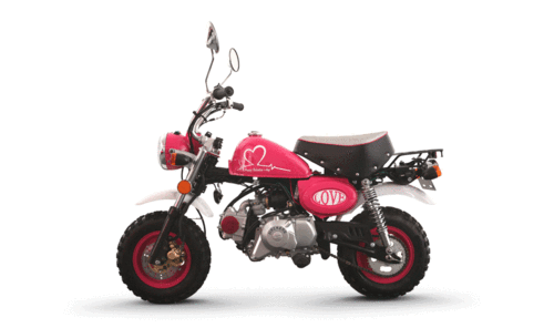 金城金童jc707情人节和糖果版小猴子上市