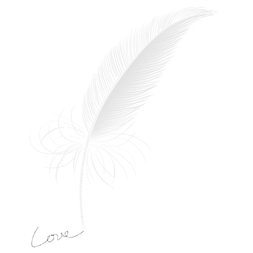 ps高清唯美羽毛素材png免抠图片/透明背景/psd素材影楼婚纱照后期