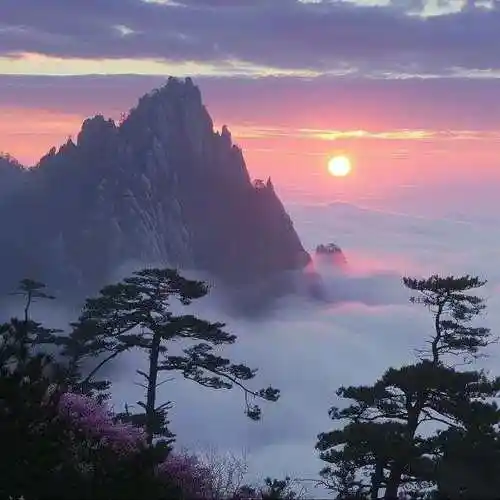 玄学头像|喜金木土 紫气东来 俯视万物 贵人降临 富贵吉祥 好运不断!