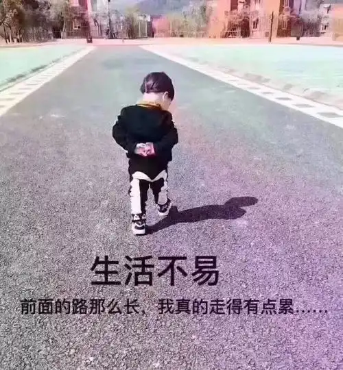 生活不易 - 美篇