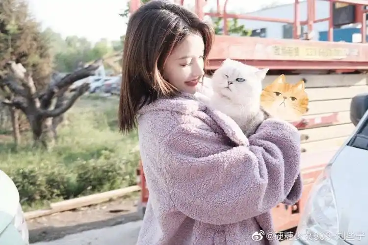 刘些宁硬糖少女303