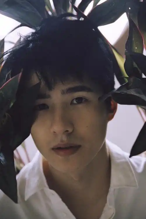 虽然刘昊然曾一度迷恋这种装扮,但他最终明智地选择了放下.