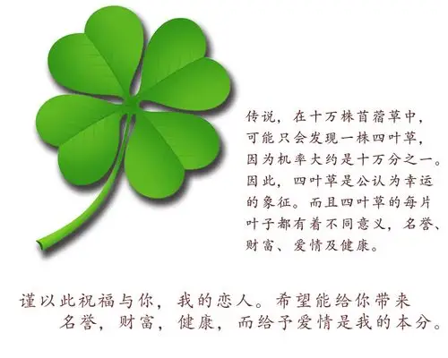 四叶草项链日韩简约s925纯银双色玛瑙镶钻吊坠设计锁骨链女式批发