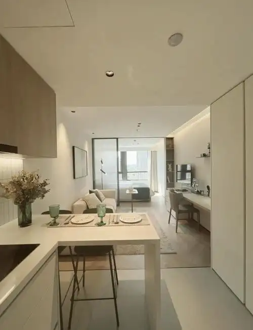 杨浦50平轻奢一室一厅