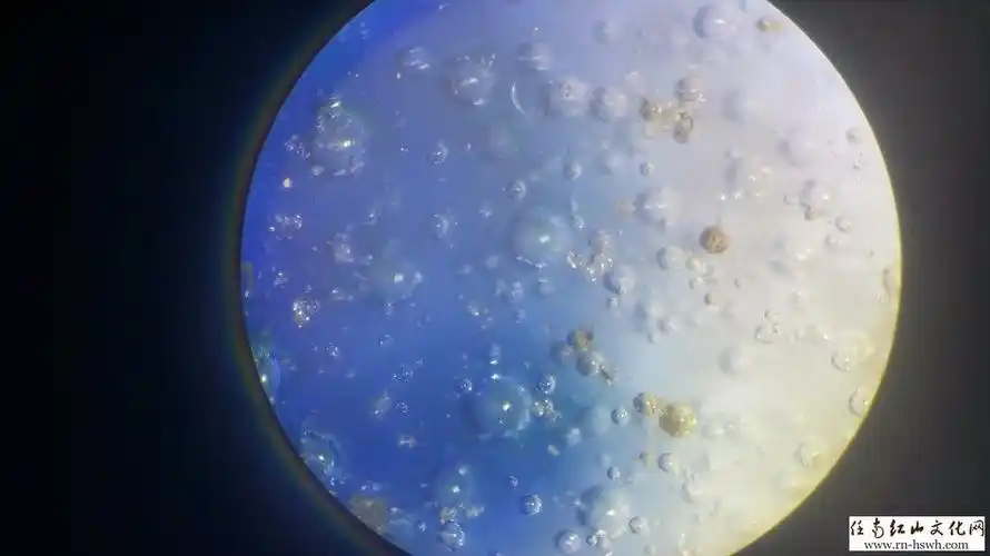 绝杀赝品——瓷器死亡气泡鉴定方法