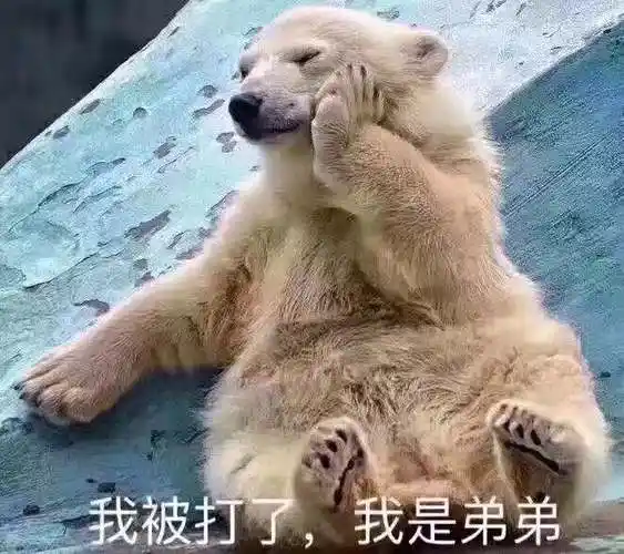 不懂(熊猫头)表情包 - 表情图