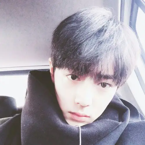 肖战,男爱豆头像肖战,二传注明id或程述.