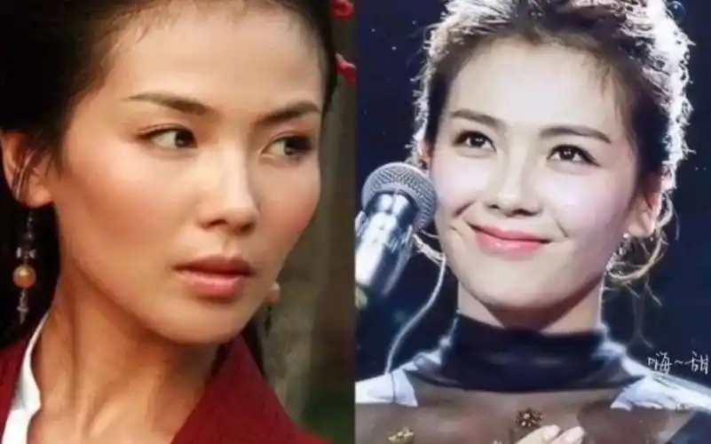 刘涛是如何从凹陷苦相脸变成精致御姐,她到底做了哪些调整?