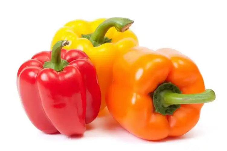 all about bell peppers