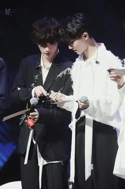 祺鑫(马嘉祺 丁程鑫)