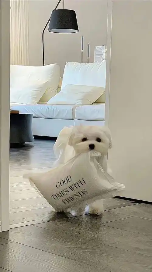 壁纸| ins风高级感壁纸来咯