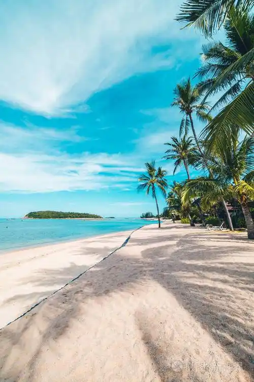 美丽的热带海滩大海和沙滩蓝天和白云上有椰子棕榈树供旅行和度假使用