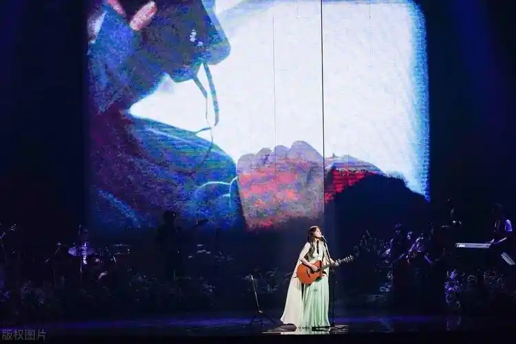 蔡健雅这身材,这才是尤物啊!