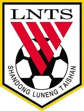 山东鲁能泰山山东鲁能泰山电力设备有限公司