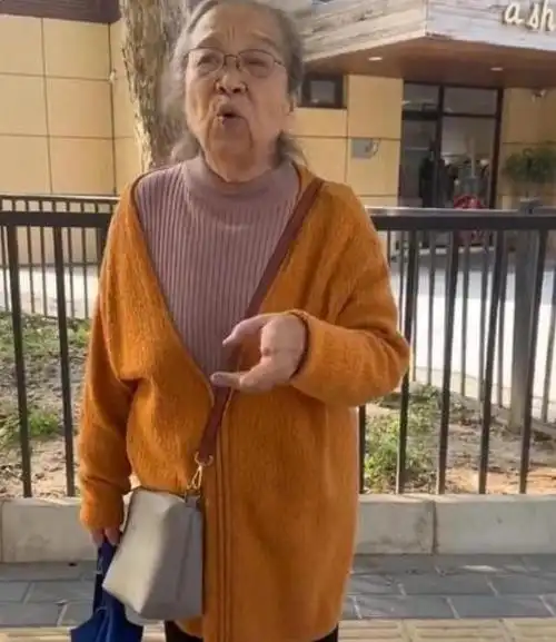 容嬷嬷李明启现身晚会彩排87岁走路带风穿200元平价鞋引热议