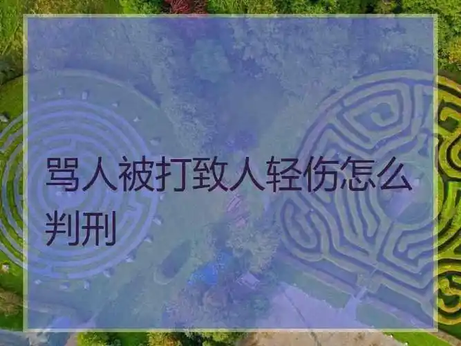 骂人被打致人轻伤怎么判刑打人轻伤法律怎么判是刑事责任吗