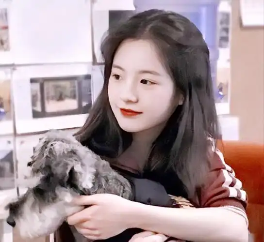 李庚希- - 堆糖,美图壁纸兴趣社区