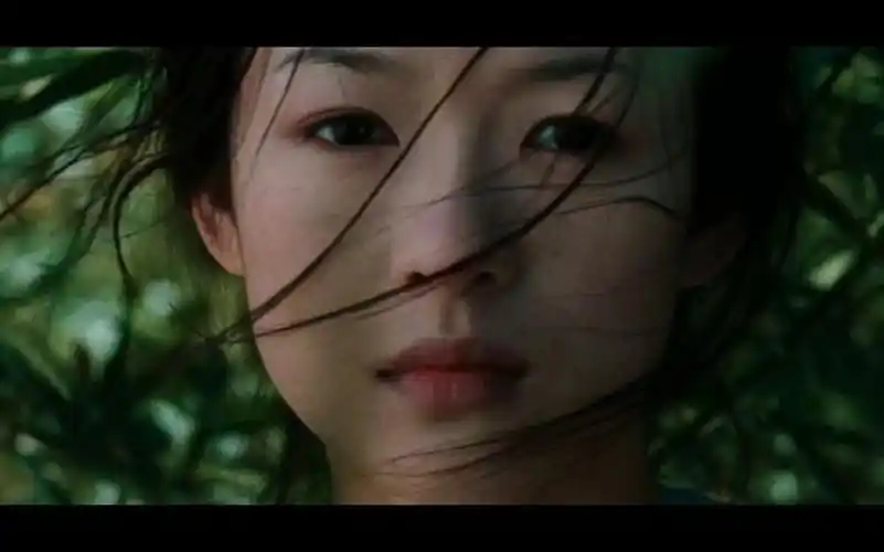 导演思维看电影——《卧虎藏龙》:东方武侠的巅峰,李安的道念与情欲之