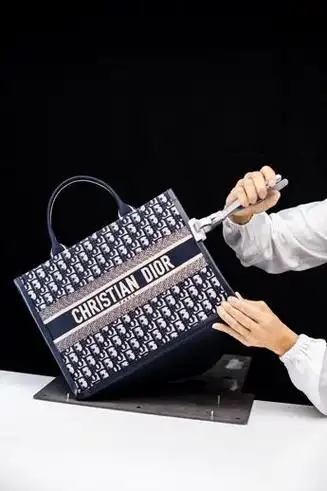 dior迪奥二零二四早春成衣系列 蝴蝶元素启焕摩登新作|手袋|时尚|印花