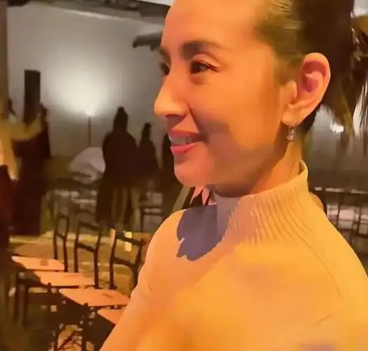 是董洁第一次生图"翻车"了,最近两年,只要她参加活动,生图都尽显老态