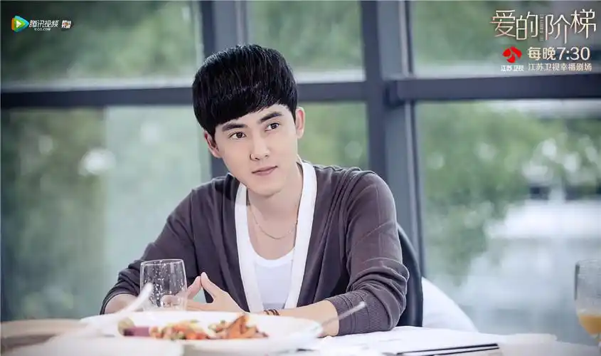 张皓天是在电视剧《 a target="_blank" href="/item/爱的阶梯