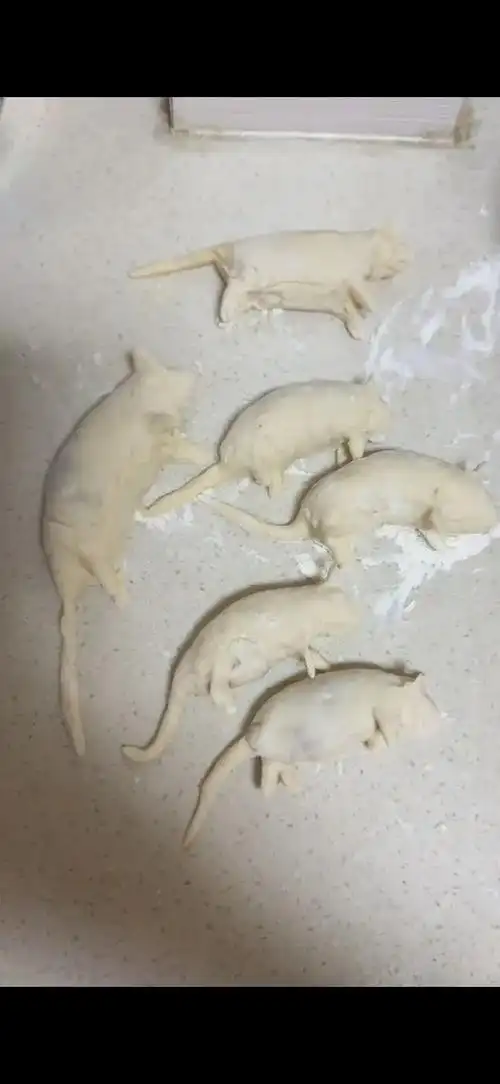 老鼠饺子包得活灵活现  #龙年造梗大赛##本命年许愿池