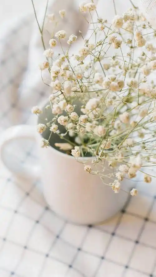 满天星～ - 堆糖,美图壁纸兴趣社区