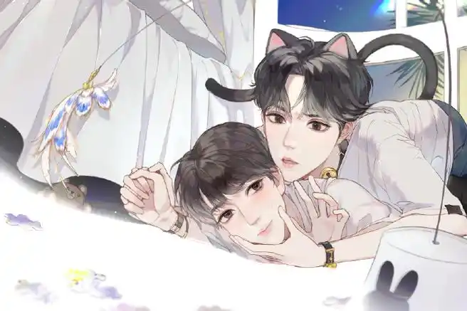 昼夜的浪漫注解