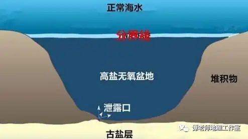 一文整理海底盐池深海冷泉海中断崖海水顶托海水倒灌附海洋地理知识