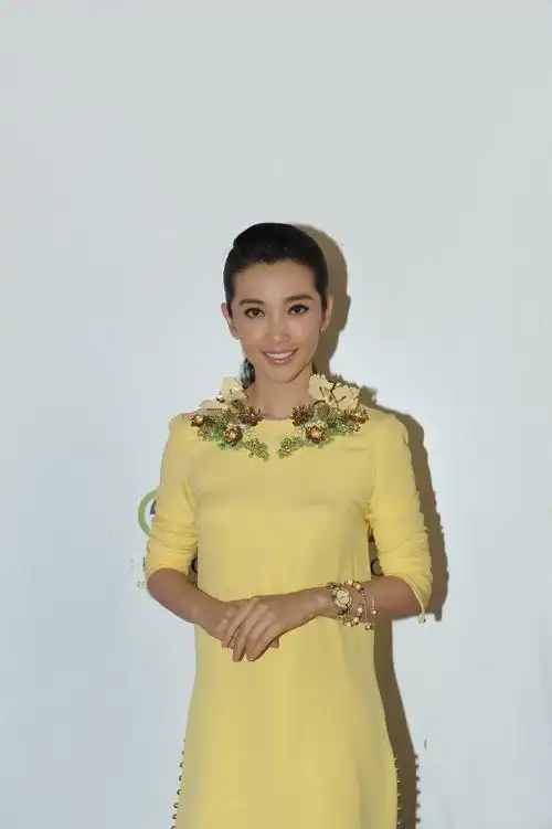 李冰冰代言奢侈品牌推公益特别款首饰