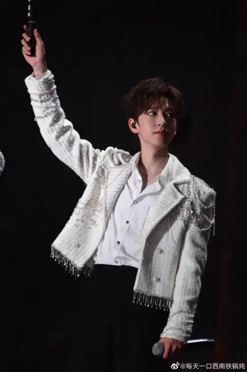 贺峻霖理想之途演唱会