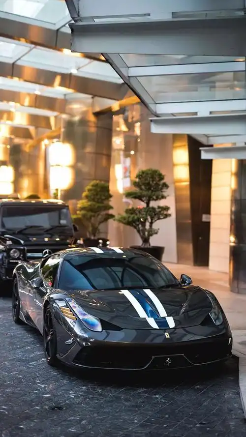 潮流壁纸精选 | 2019-02-15