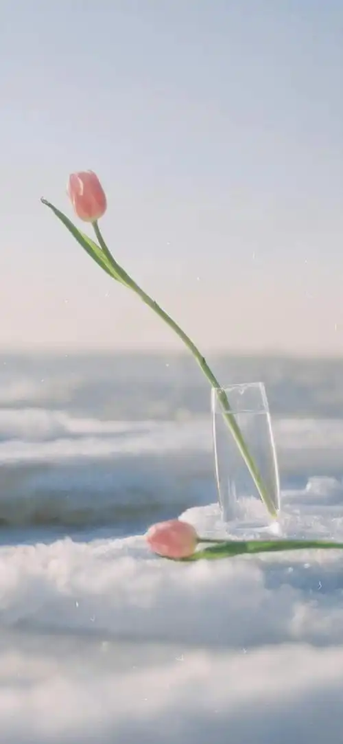 爆好看的手机壁纸,超级养眼