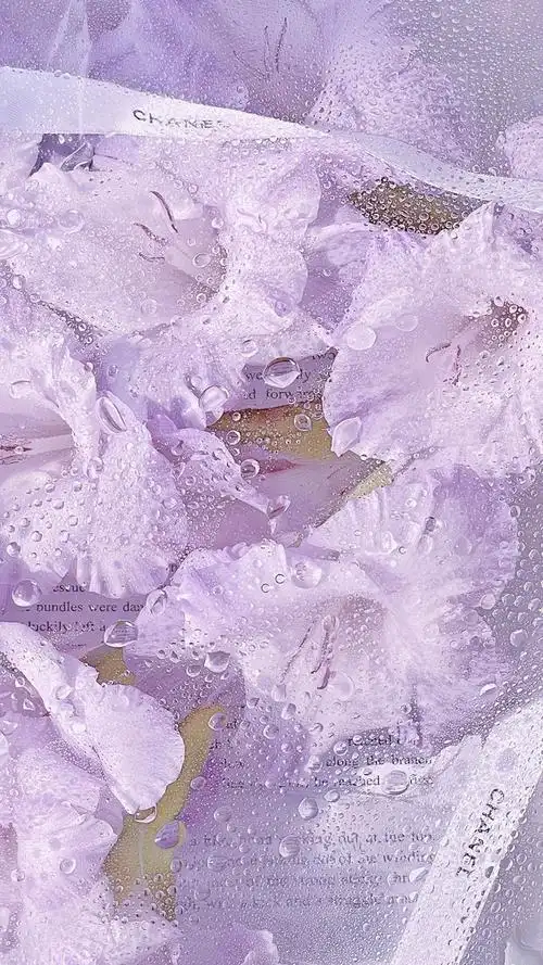 紫色系唯美背景图