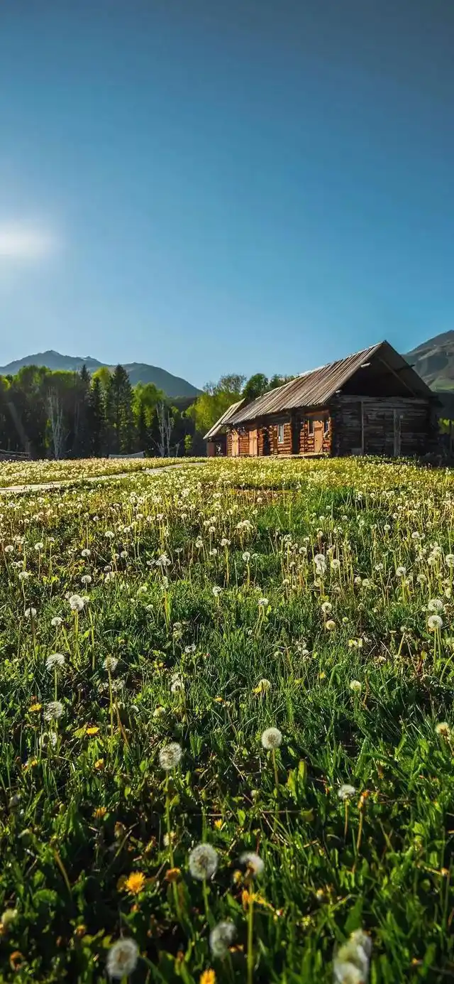 乡村田园风光全面屏手机壁纸