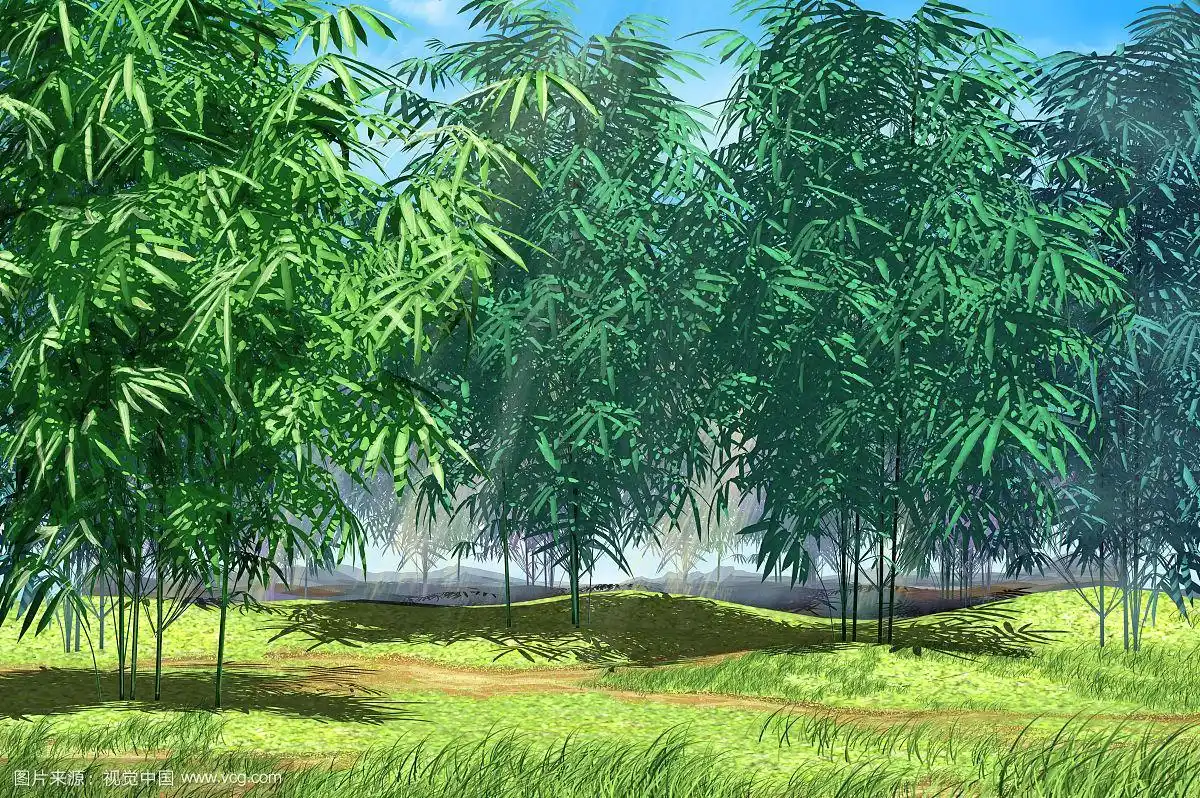 竹林,插画